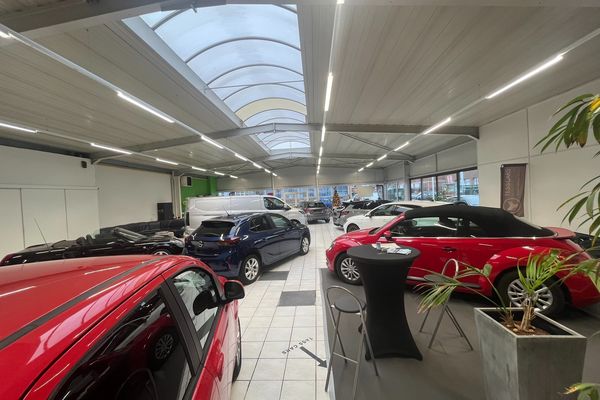 Industrieel te koop / Tessenderlo