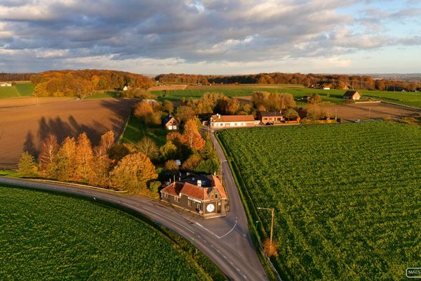 Handelspand te koop in Anzegem