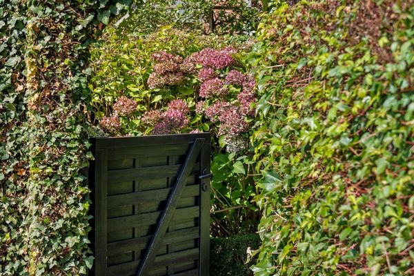 Huis verkocht / Hasselt