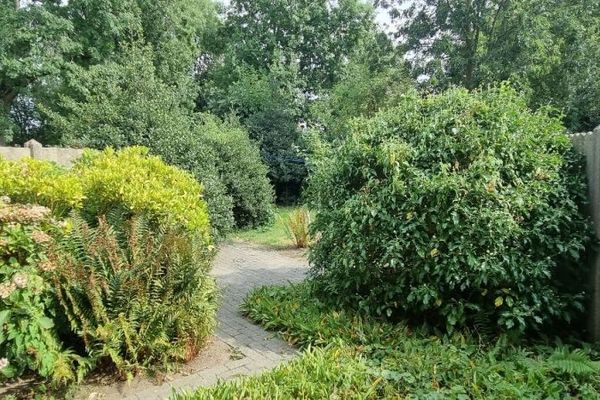 Appartement te koop / Hasselt