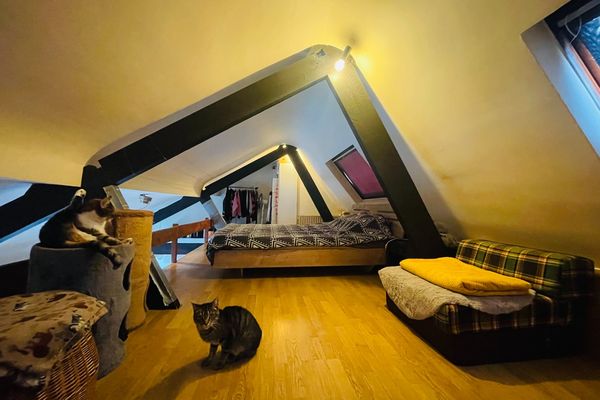 Appartement te koop / Brugge