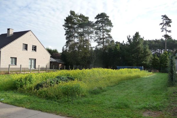 Bouwgrond
                            verkocht in Langdorp