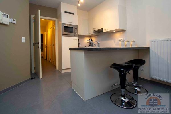 Appartement
                            a vendre in Coxyde