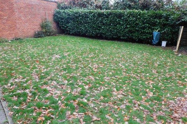 Appartement verhuurd / Koersel