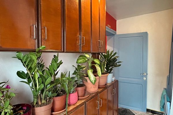 Huis te koop / Heverlee