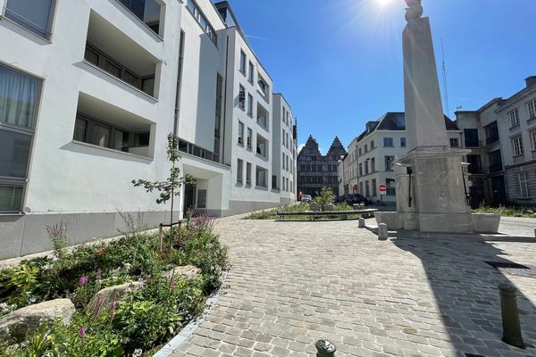 Appartement
                            optie huur in Gent