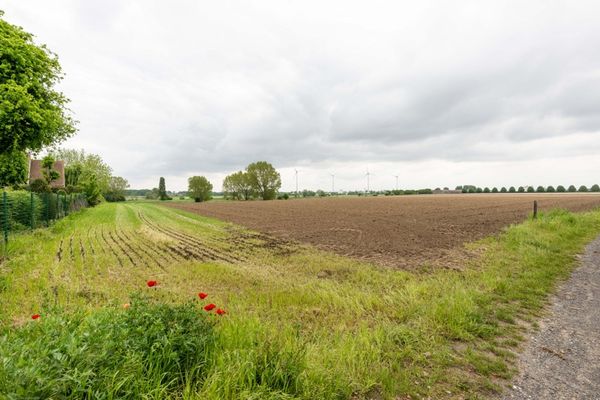 Huis te koop / Dentergem