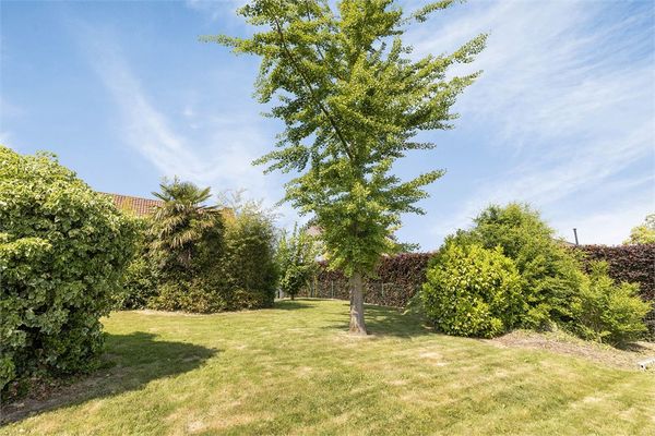 Huis optie koop / Ninove