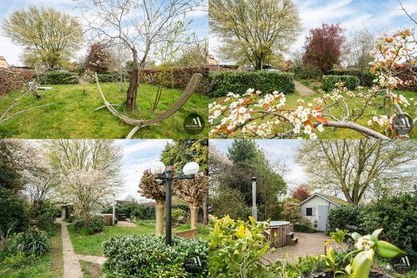 Huis te koop / Adegem