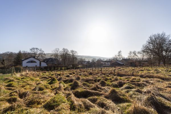 Terrain constructible
                            option d'achat in Stavelot