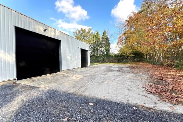 Industrieel te huur / Hasselt