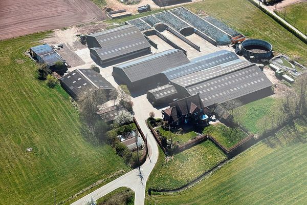 Boerderij
                            te koop in Bocholt