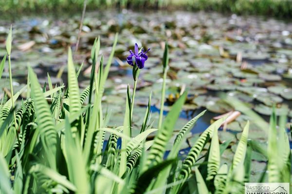 Huis te koop / Heusden-Zolder