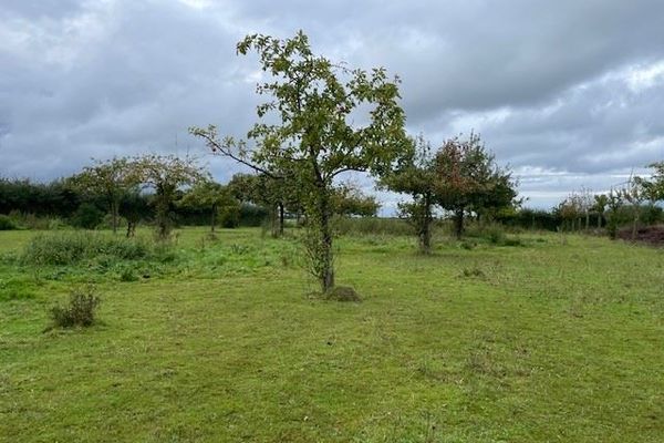 Grond te koop / Loksbergen