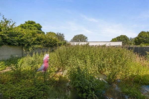 Huis te koop / Oosterzele