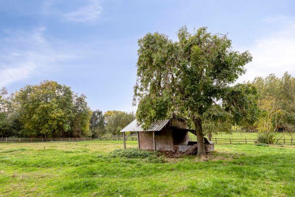 Huis te koop / Zwalm