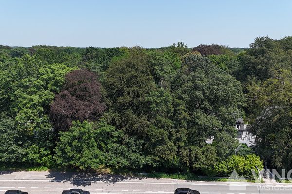 Grond
                                te koop
                                in Brasschaat