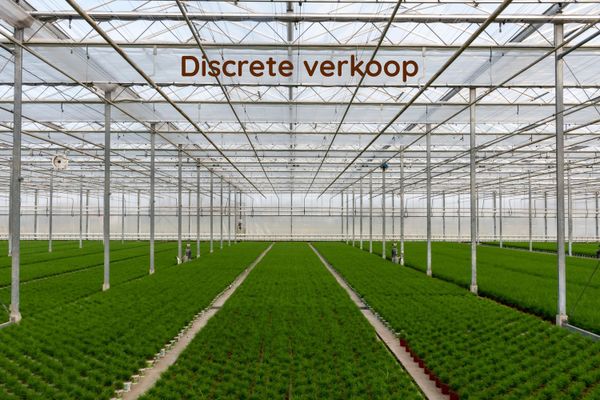 Hoeve
                            te koop in Lochristi