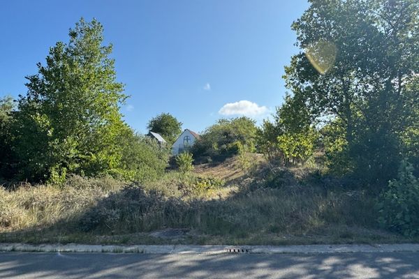 estate img