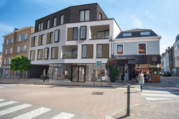 Project
                                te koop in Tervuren