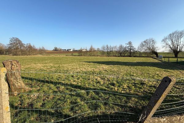 Terrain
                                a vendre
                                in Sombreffe