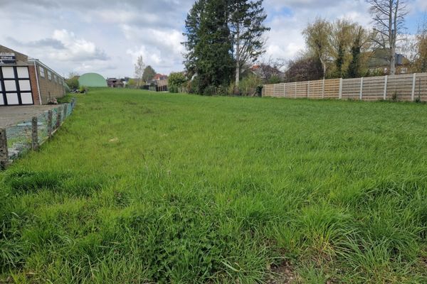 Bouwgrond
                            te koop in Haaltert