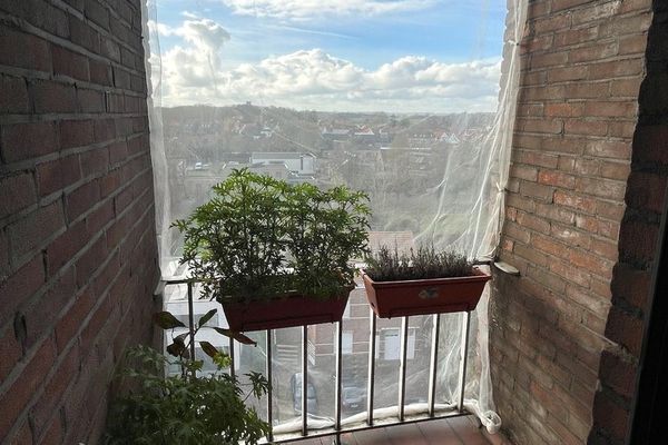 Appartement te koop / Heverlee