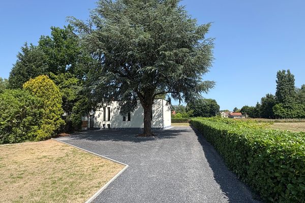 estate img