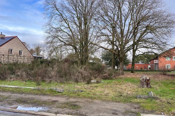 
                                        Grond
                                        verkocht
                                        in Diepenbeek
                                    
