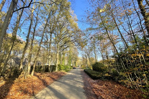 Grond te koop / Linden