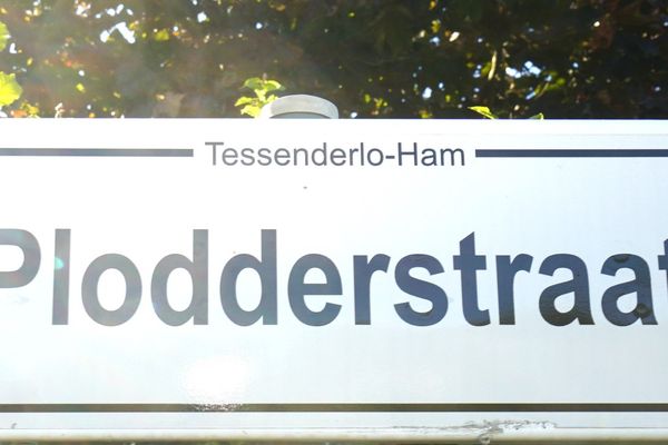 Huis te huur / Tessenderlo-Ham