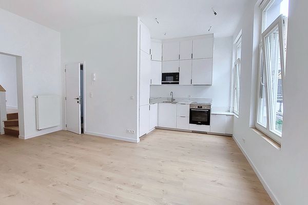 Appartement
                            a vendre in Ixelles