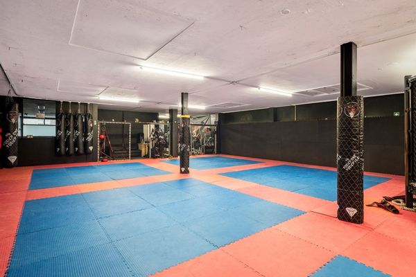 Handelspand
                            te koop in Deurne