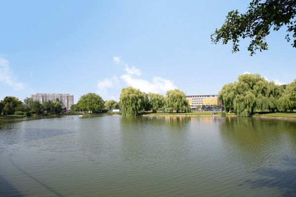 Appartement te koop / Waregem