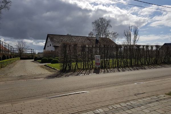 estate img