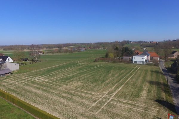 Bouwgrond
                                te koop in Horebeke