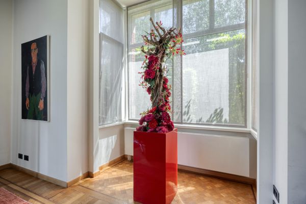 Huis te koop / Wilrijk