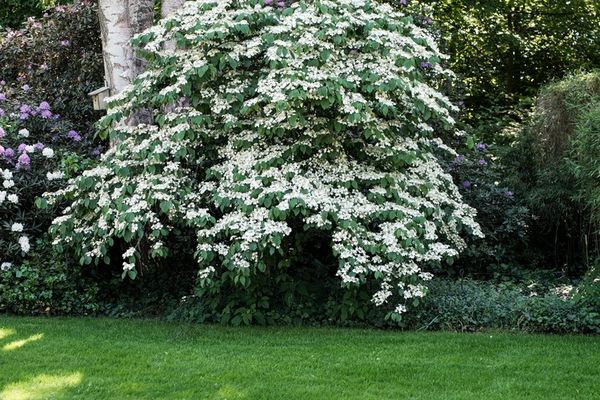 Huis te koop / Heusden-Zolder