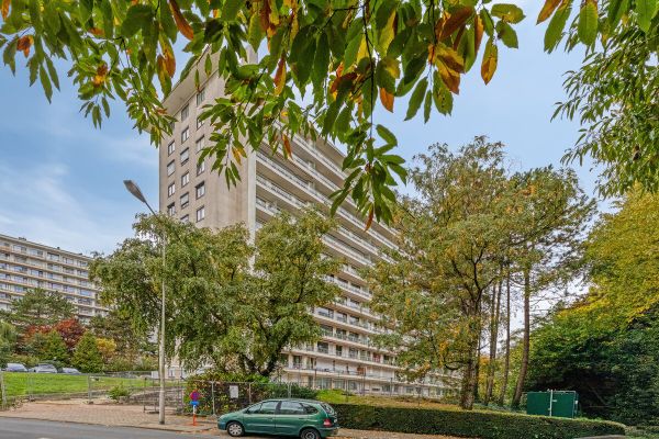 Estate main image