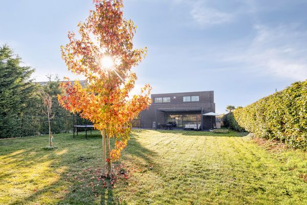 Maison a vendre / Tongeren-Borgloon
