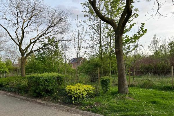 Estate main image