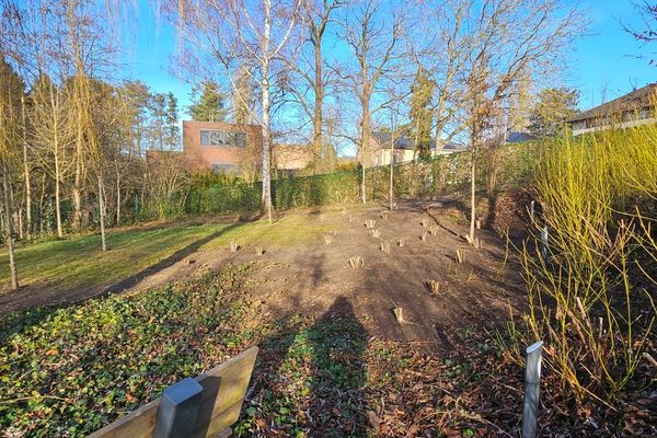 Grond te koop / Leuven