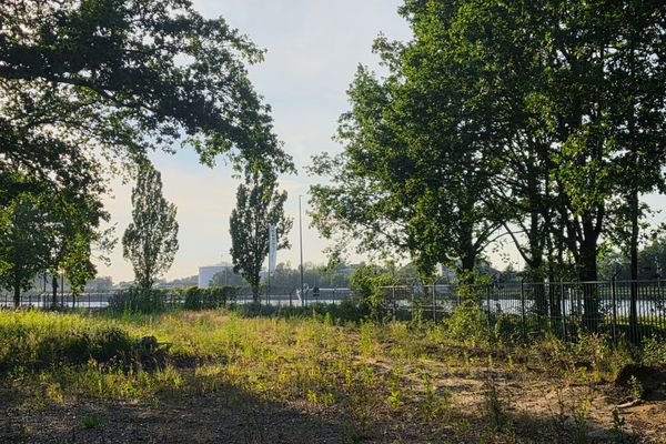 Commercieel te koop / Hasselt
