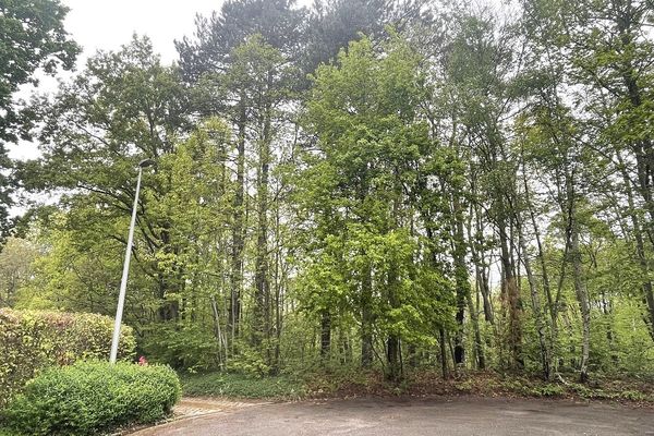 Grond te koop / Holsbeek