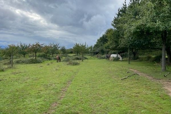 Grond te koop / Loksbergen