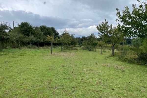 Grond te koop / Loksbergen