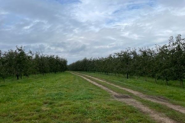Grond te koop / Loksbergen