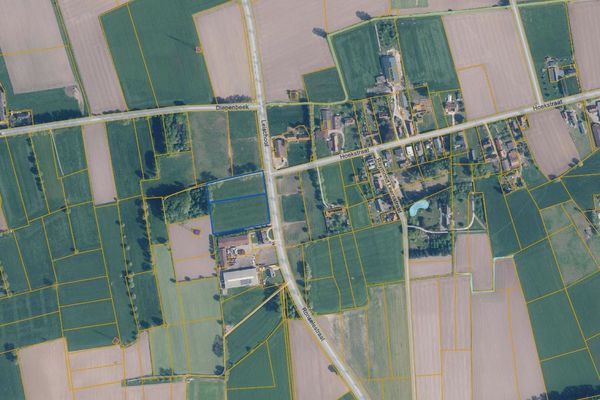 Grond
                                te koop
                                in Lievegem