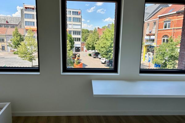 Kot in Kortrijk