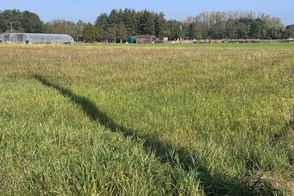 Bouwgrond
                                te koop in Booischot